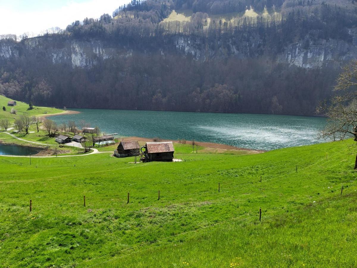 Traumhafte Villa Seelisberg Exterior photo